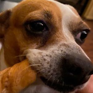 Meet your Posher, Brent